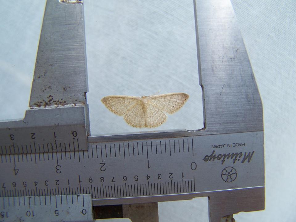 FIGURE 9 FIGURE 9
